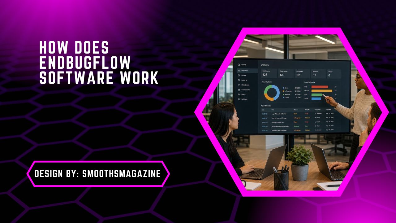 How Does Endbugflow Software Work